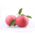 market price red fruit fresh apple